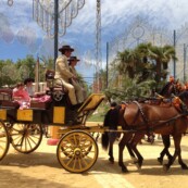 Jérez de la Frontera, Feria del Caballo 2013